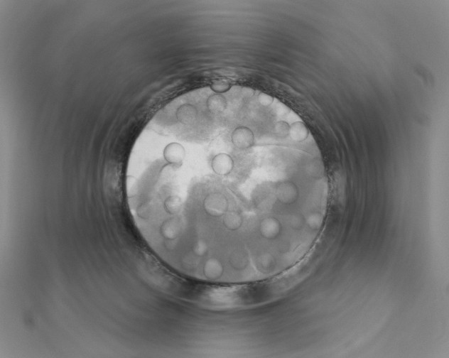 X0000111220178200908131109