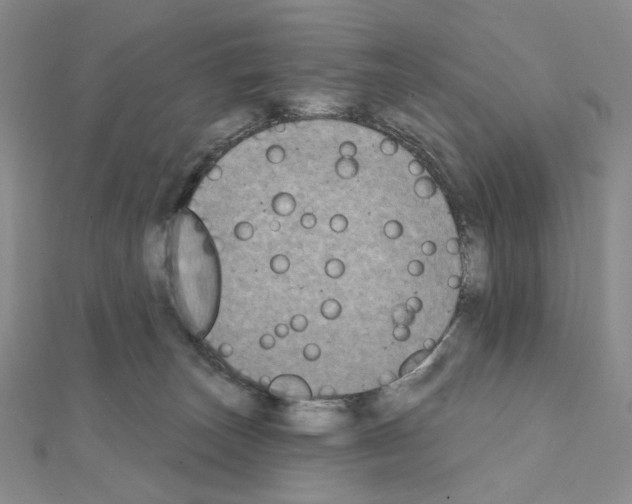 X0000111220179200908131109