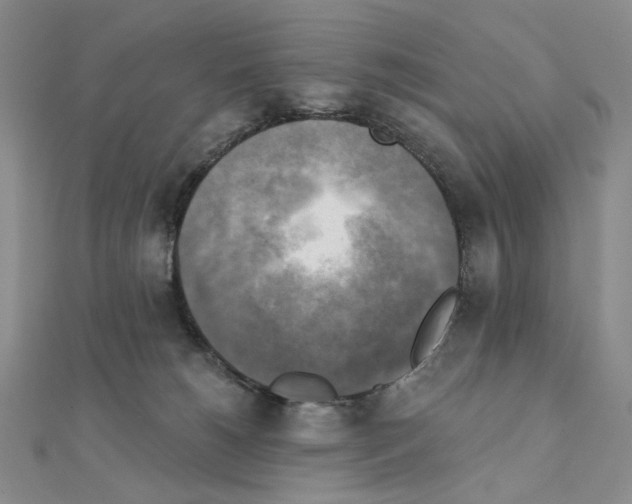 X0000111220180200908131109