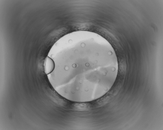 X0000111220181200908131109