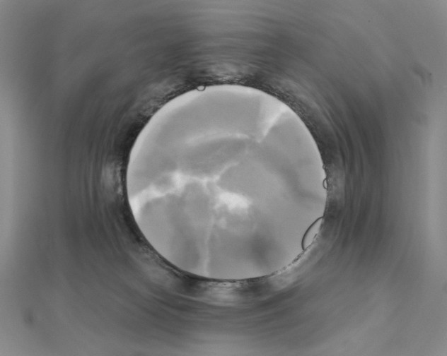X0000111220182200908131109