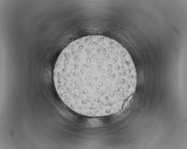X0000111220183200908131109