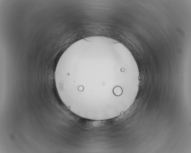X0000111220184200908131109