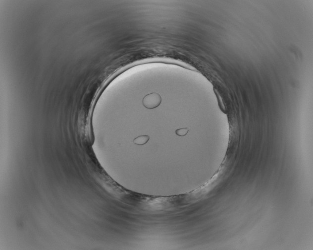X0000111220186200908131109