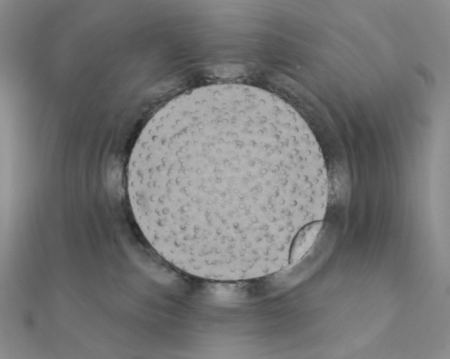 X0000111220187200908131109