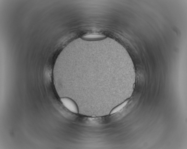 X0000111220188200908131109