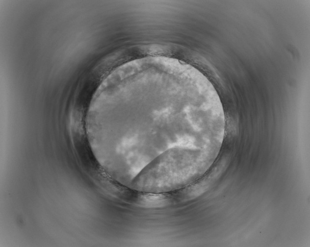 X0000111220189200908131109