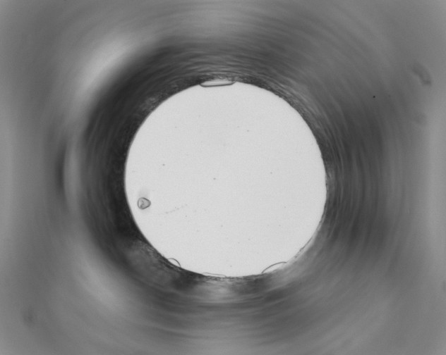 X0000111220190200908131109
