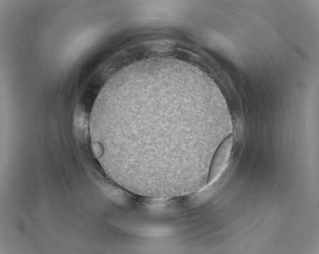 X0000111220191200908131109