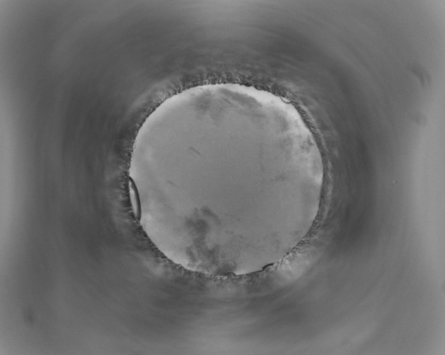 X0000111220192200908131109