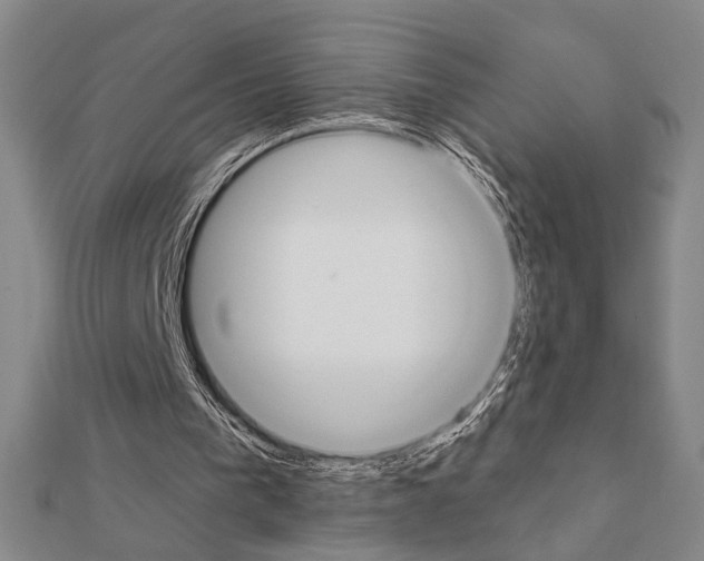 X0000111220193200908131109