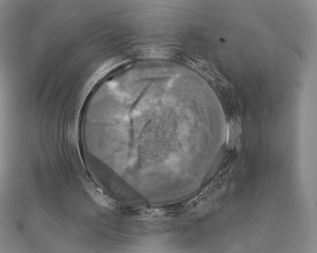 X0000111220195200908131109