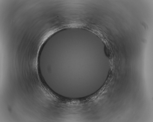 X0000111220196200908131109