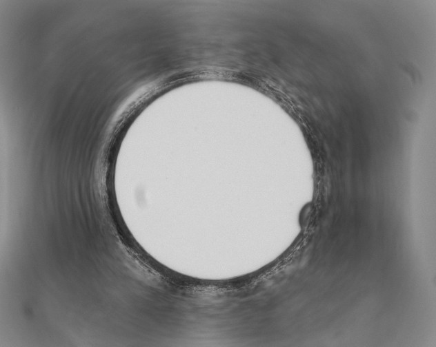 X0000111220197200908131109