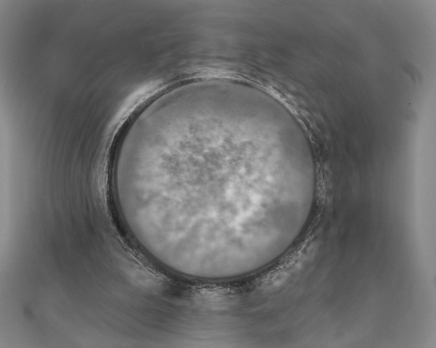 X0000111220199200908131109