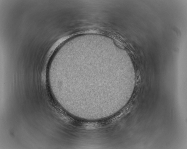 X0000111220200200908131109