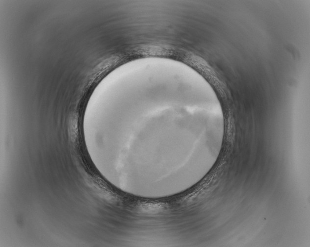 X0000111220202200908131109