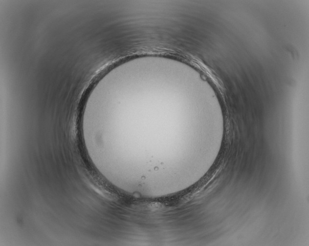 X0000111220203200908131109
