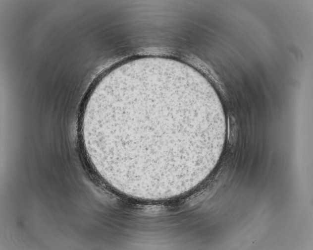 X0000111220204200908131109