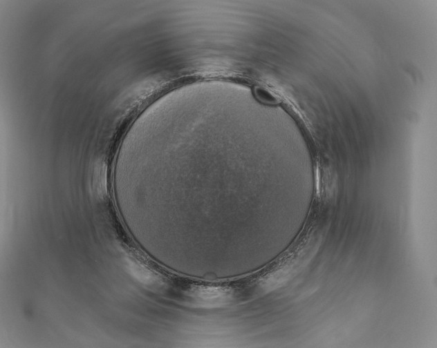 X0000111220205200908131109