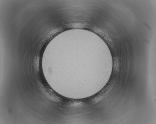 X0000111220206200908131109