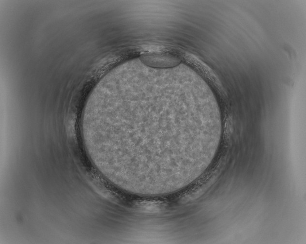 X0000111220209200908131109