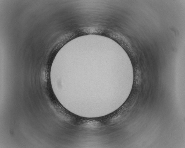 X0000111220210200908131109