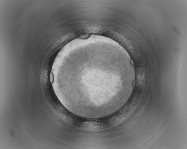 X0000111220211200908131109