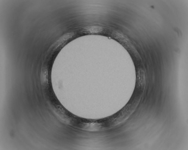 X0000111220212200908131109