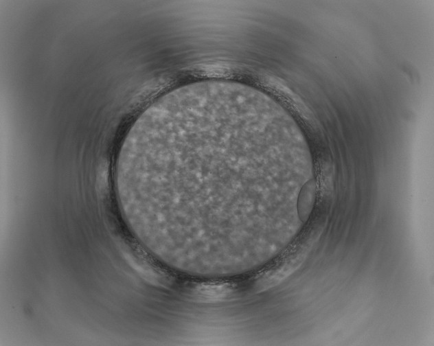 X0000111220213200908131109