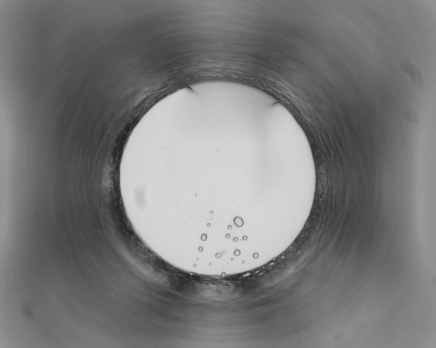 X0000111220215200908131109