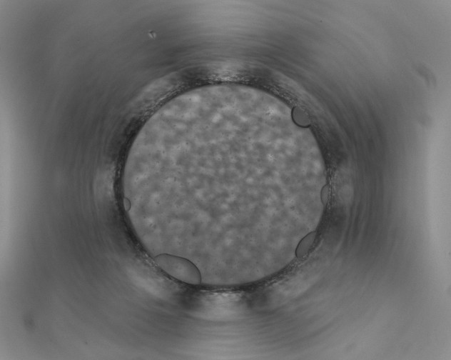 X0000111220217200908131109
