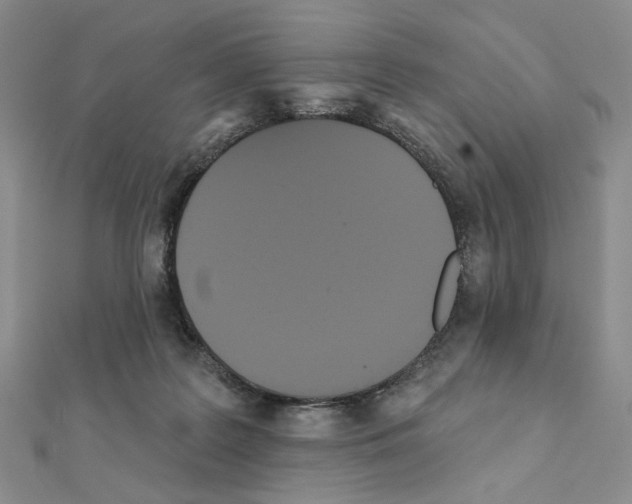 X0000111220219200908131109