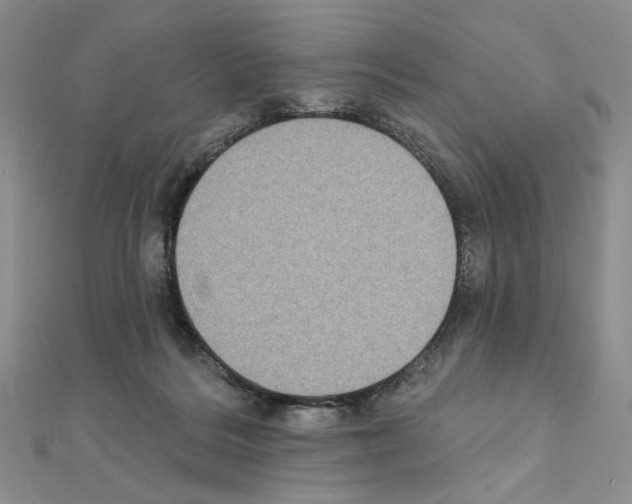 X0000111220220200908131109