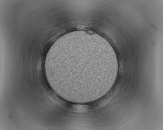 X0000111220221200908131109