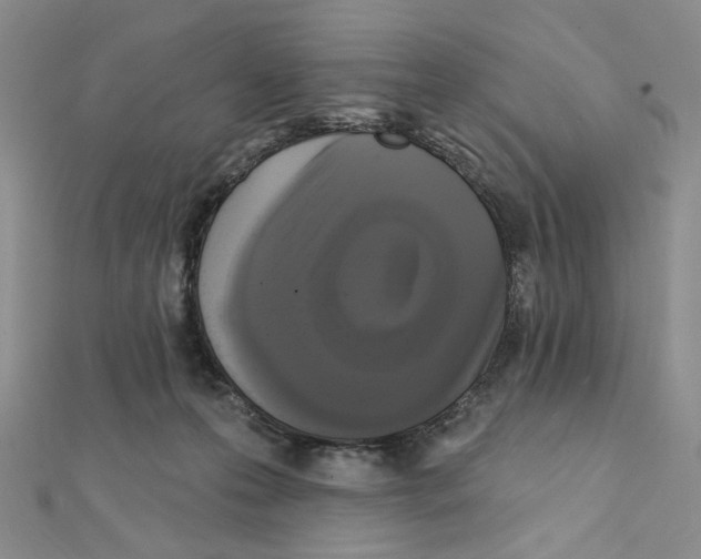 X0000111220223200908131108
