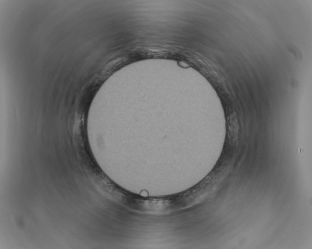 X0000111220225200908131108