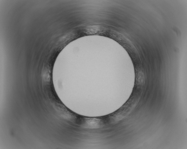 X0000111220226200908131108