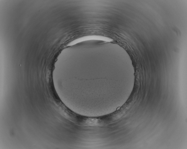 X0000111220227200908131108