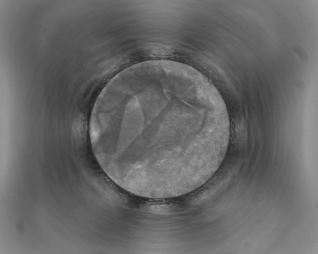 X0000111220228200908131108