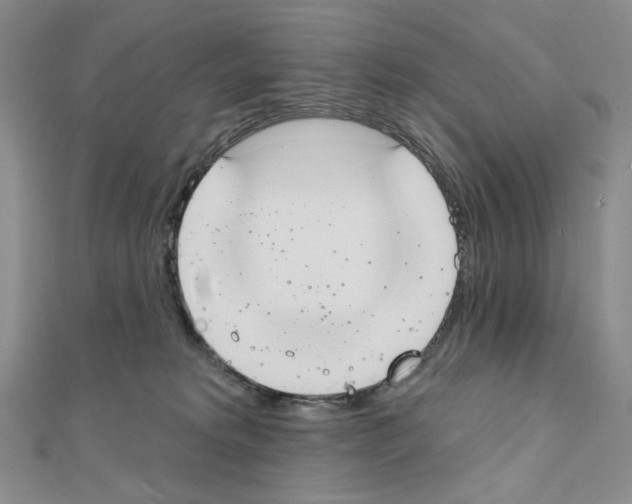 X0000111220229200908131108