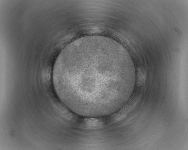 X0000111220230200908131108