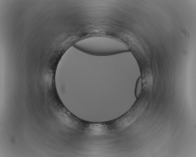 X0000111220231200908131108