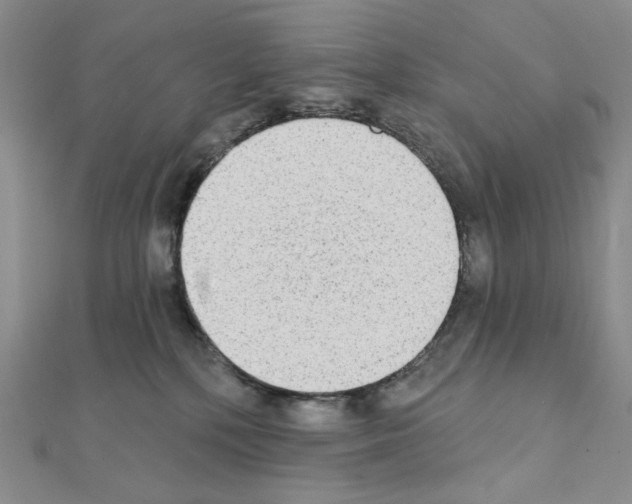 X0000111220232200908131108