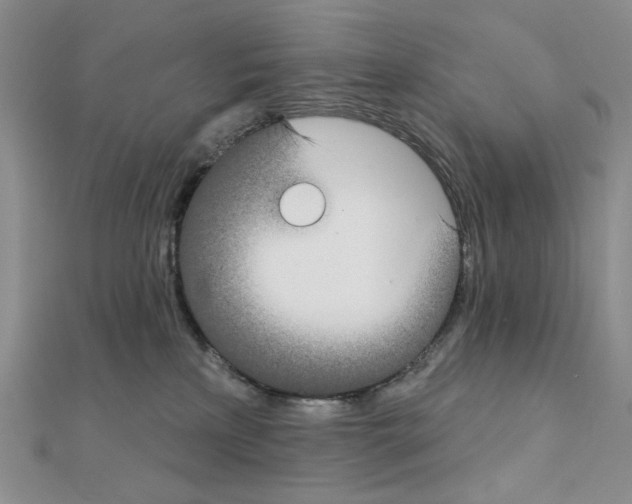 X0000111220233200908131108