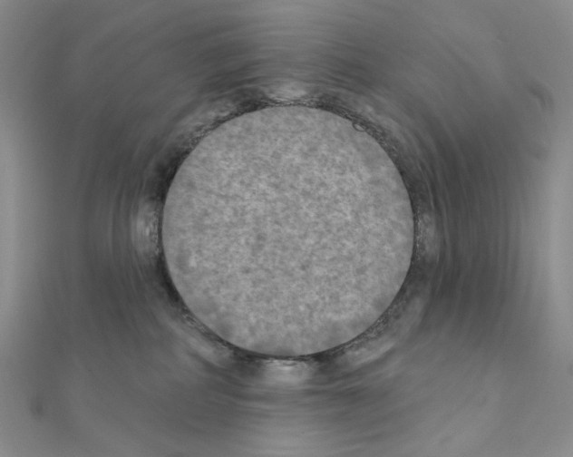 X0000111220234200908131108