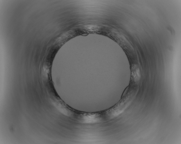 X0000111220235200908131108