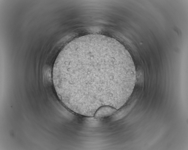 X0000111220238200908131108