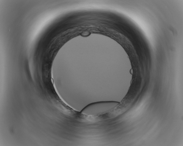 X0000111220239200908131108