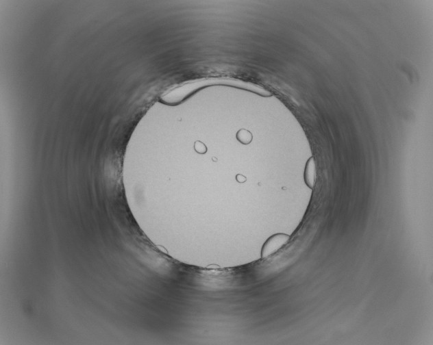 X0000111220240200908131108